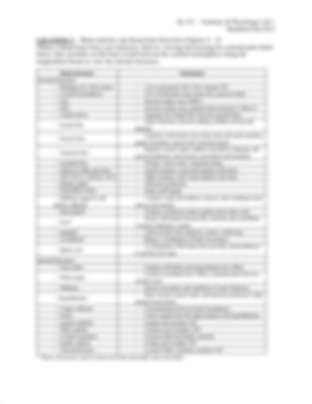 Lab 11 - Neuroanatomy_d5bhojjrbzv_page2