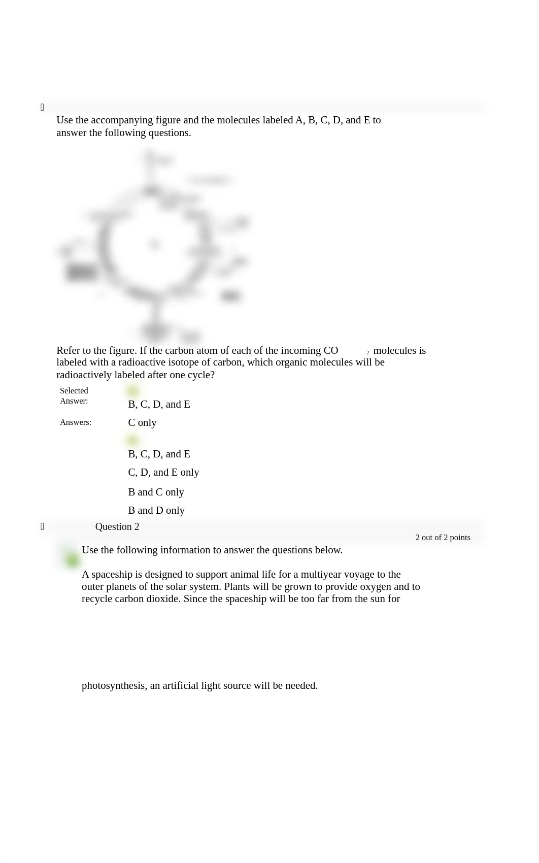 Quiz 10 number 2.docx_d5brs57f9f1_page1