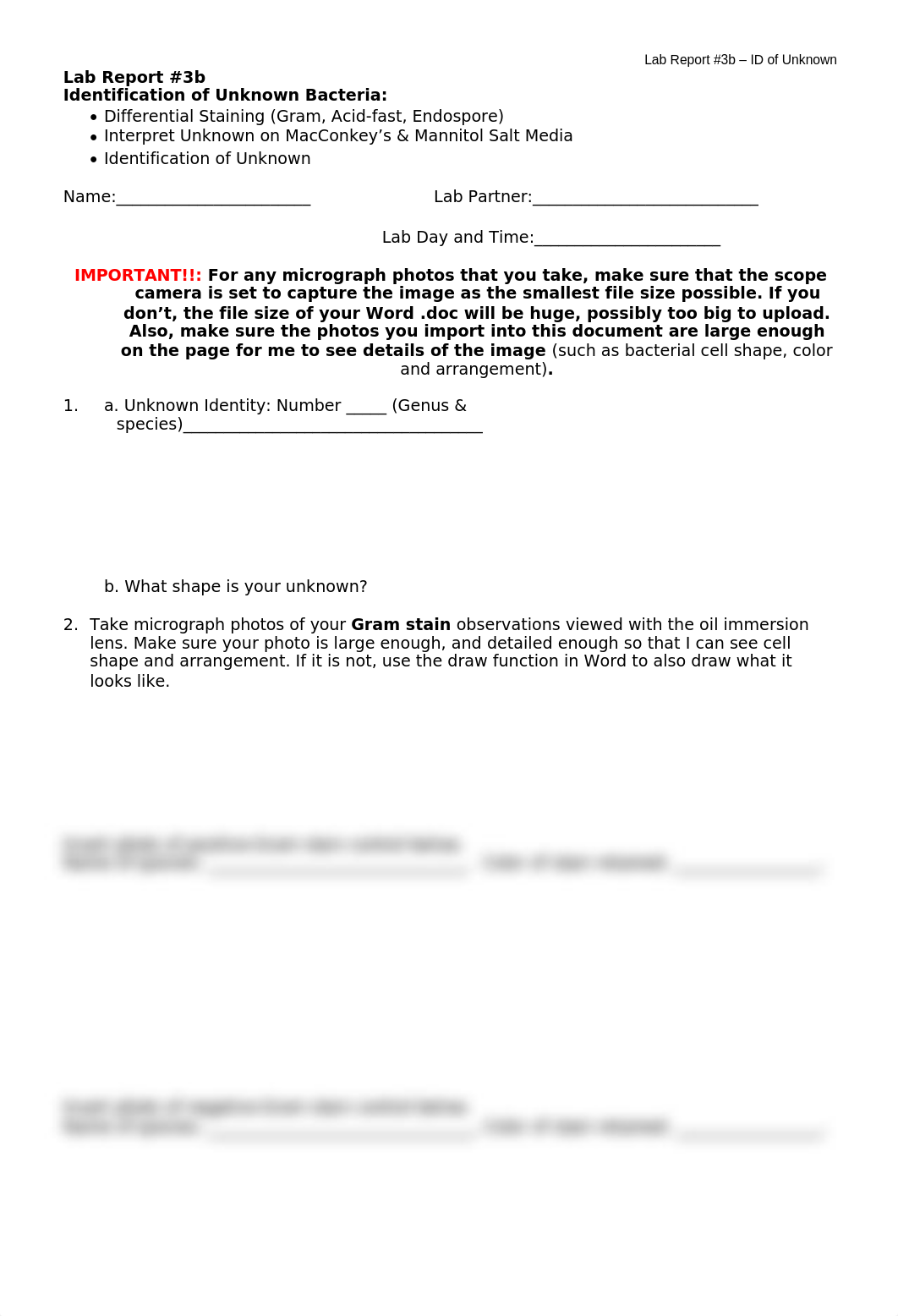 Identify-Unknown-Bacteria-Microbiology-Lab-Report-3b-micrograph (1).doc_d5bslwla8m8_page1