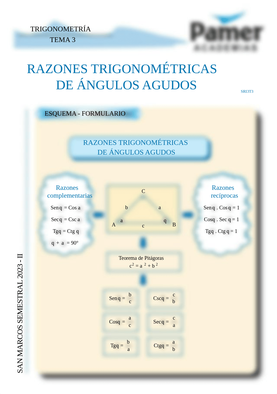 T_Sem3_Razones trigonométricas de ángulos agudos.pdf_d5c3a1a0v2l_page1