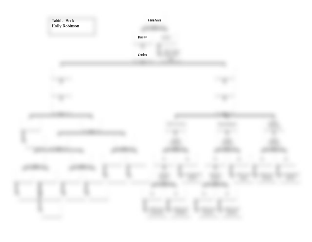 gram positive flow chart.docx_d5cclvupjye_page1