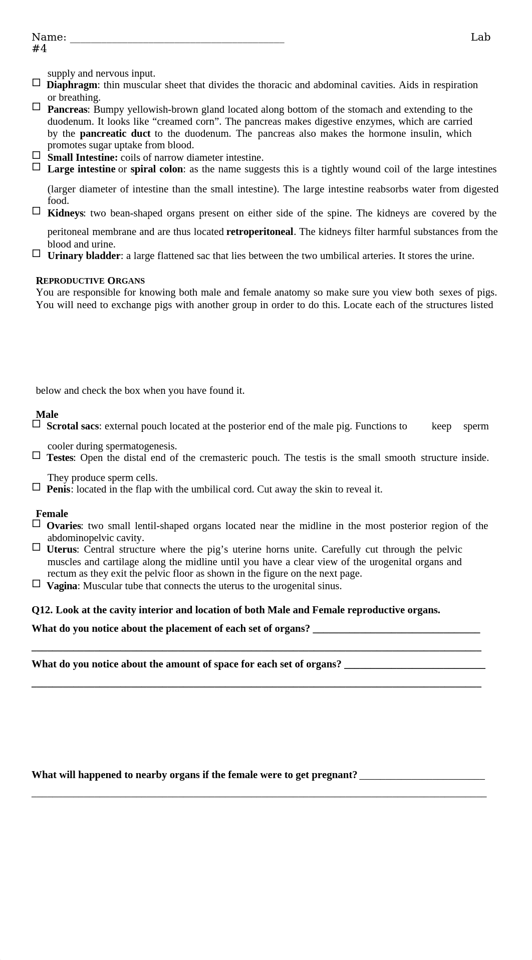 Lab 5 - Fetal Pig Dissections.docx_d5cfqmrqrm1_page3