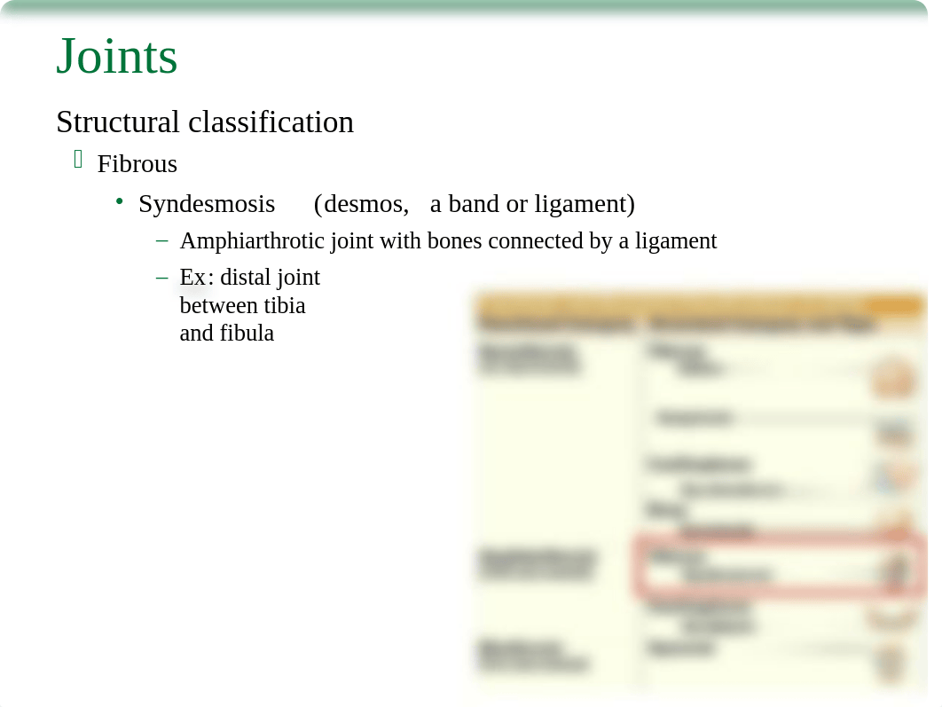 BIO 211 - 08 - Joints.pptx_d5cul7xxrqd_page5