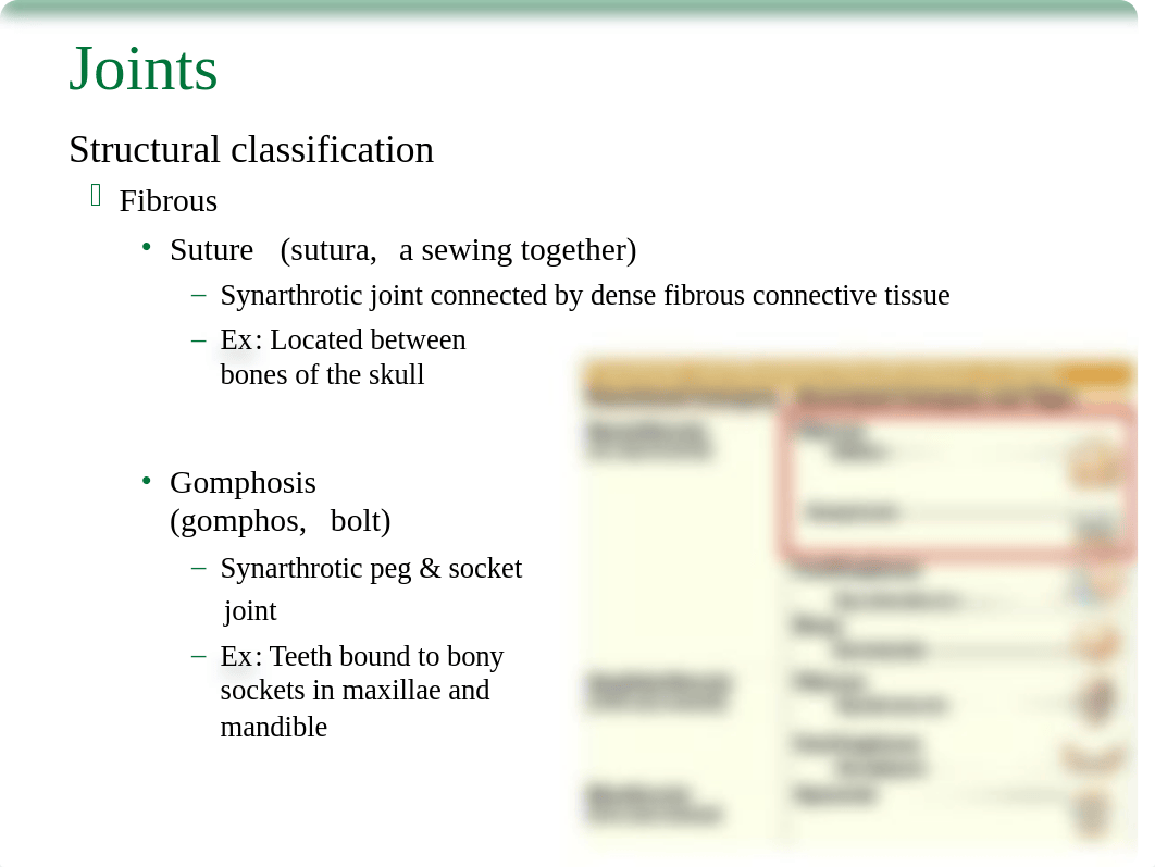 BIO 211 - 08 - Joints.pptx_d5cul7xxrqd_page4