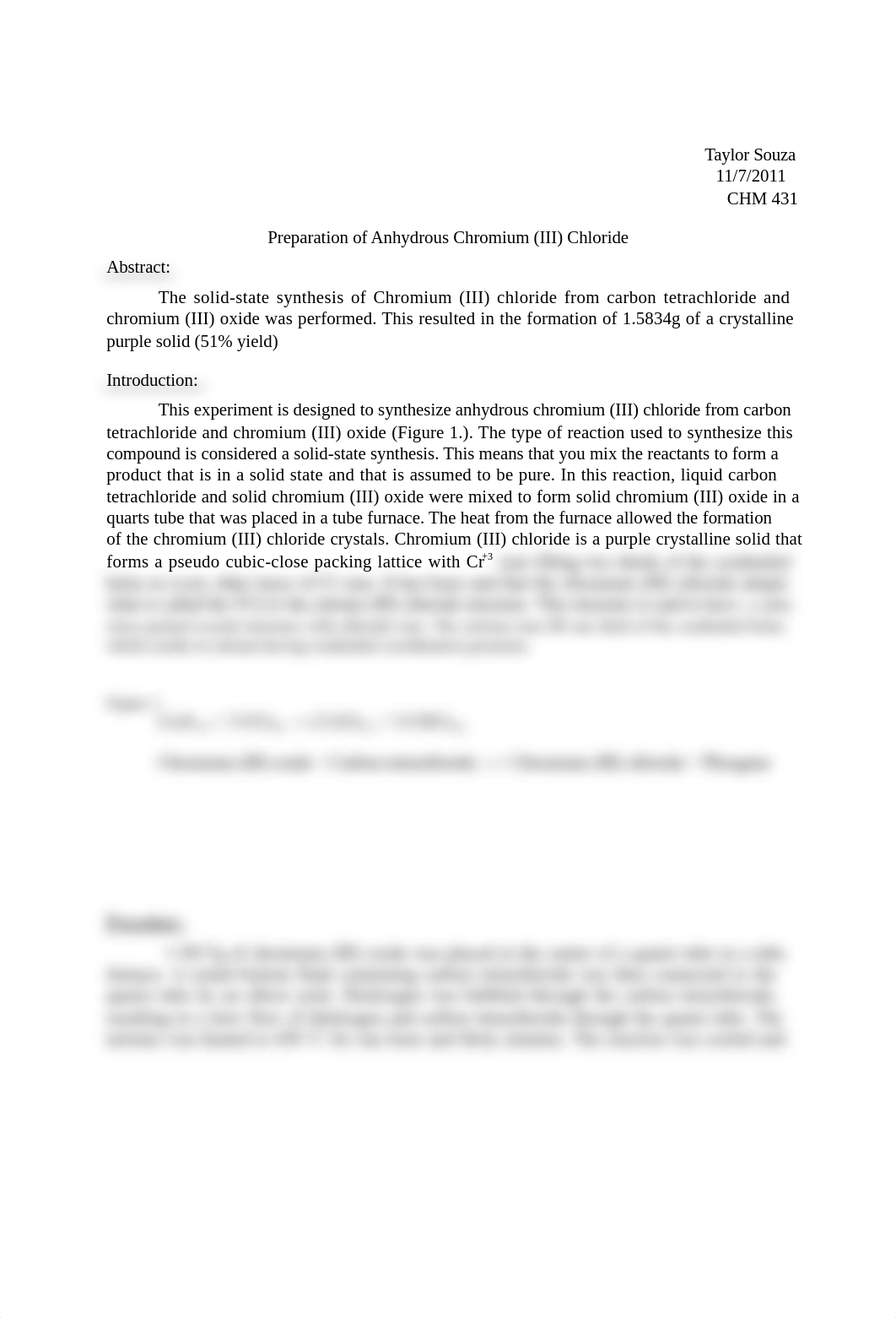 souza edit report 1.docx_d5d56cclyhf_page1