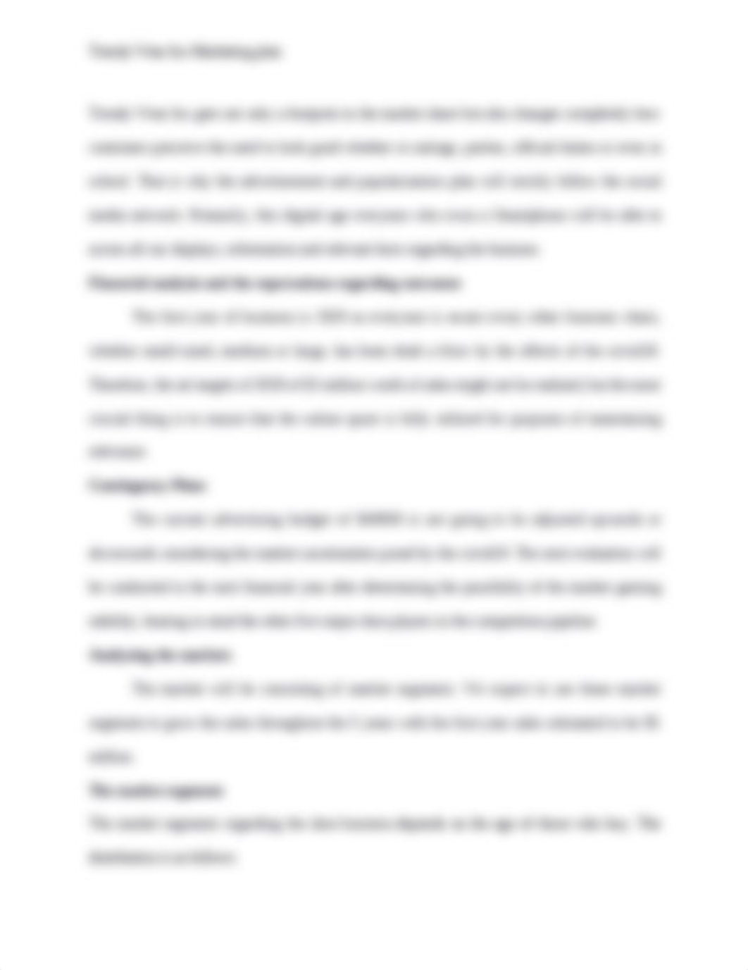 5 years marketing plan.docx_d5ddqyf2n3w_page5