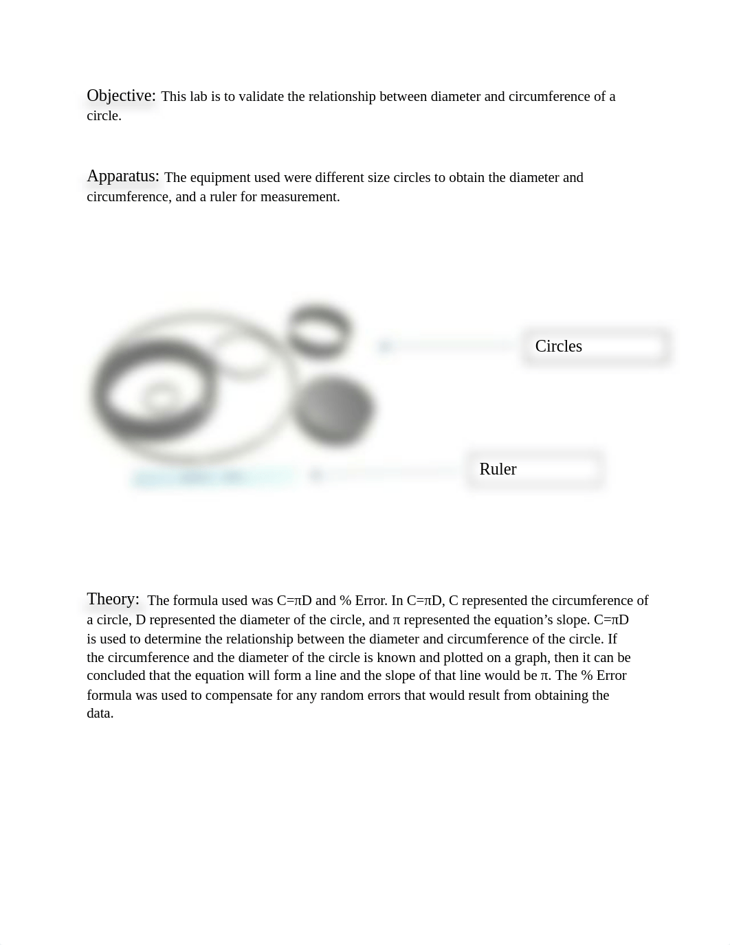 Physics Lab report circles.docx_d5dmpjajb7f_page2