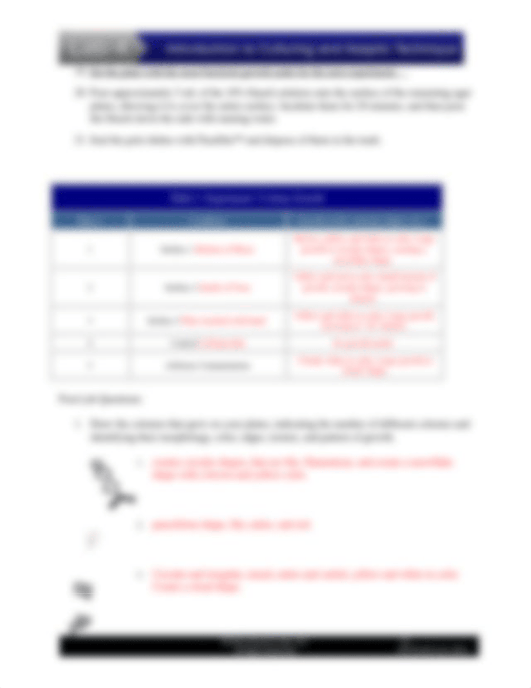 Bio 253 Lab 4.doc_d5dn06db6xx_page3