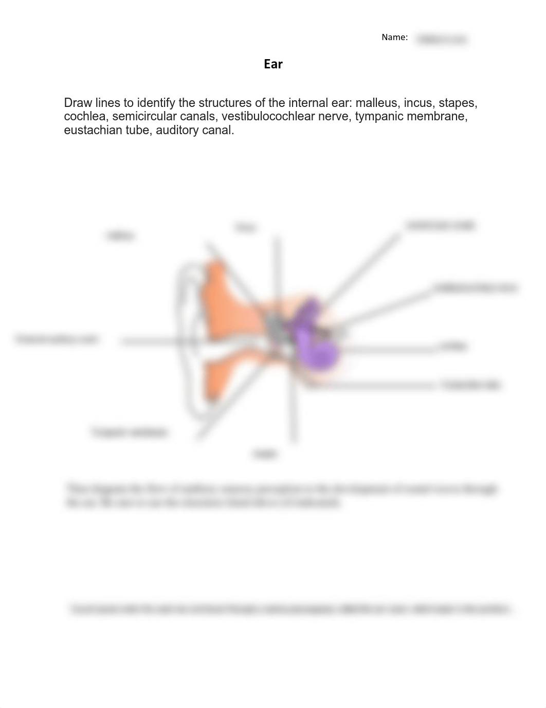 Ear diagram rev 6-2017(2).pdf_d5dsy3iq1im_page1