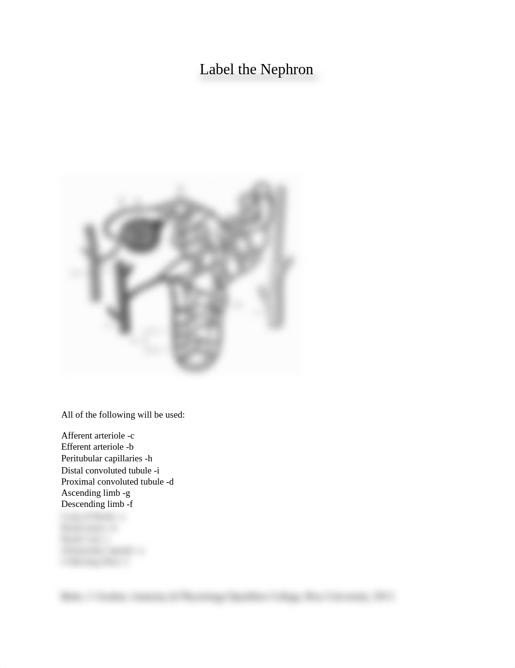 BIO 202 Week 9 Nephron Labelling Worksheet JM.docx_d5dtc18va8y_page1
