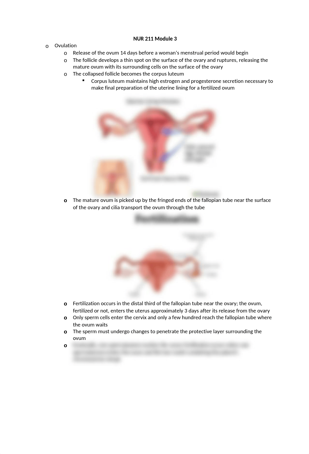 NUR 211 Module 3 Study Guide.docx_d5ekwkn9206_page1