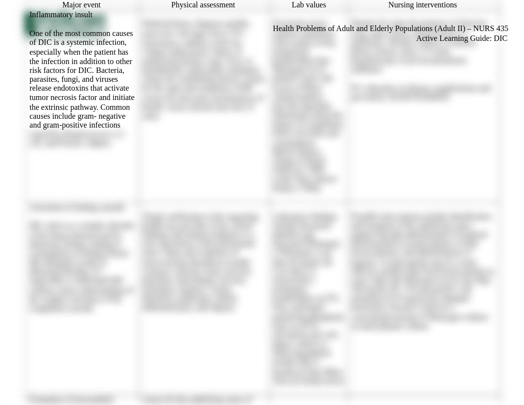 Active Learning Guide -DIC 1.docx_d5epq066hw3_page2
