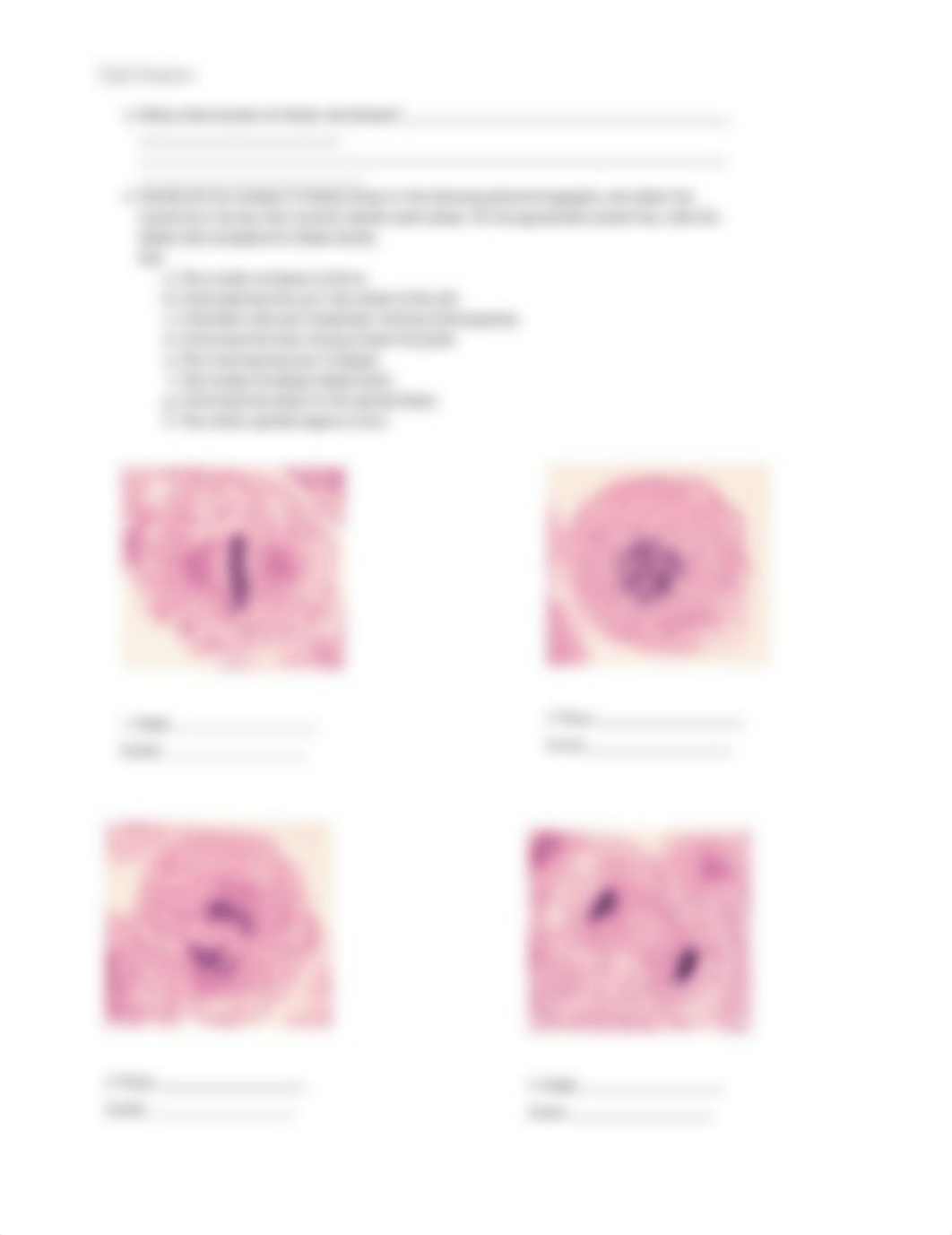 Laboratory Exercise 4 Review Sheet.pdf_d5f3cw7y8az_page3