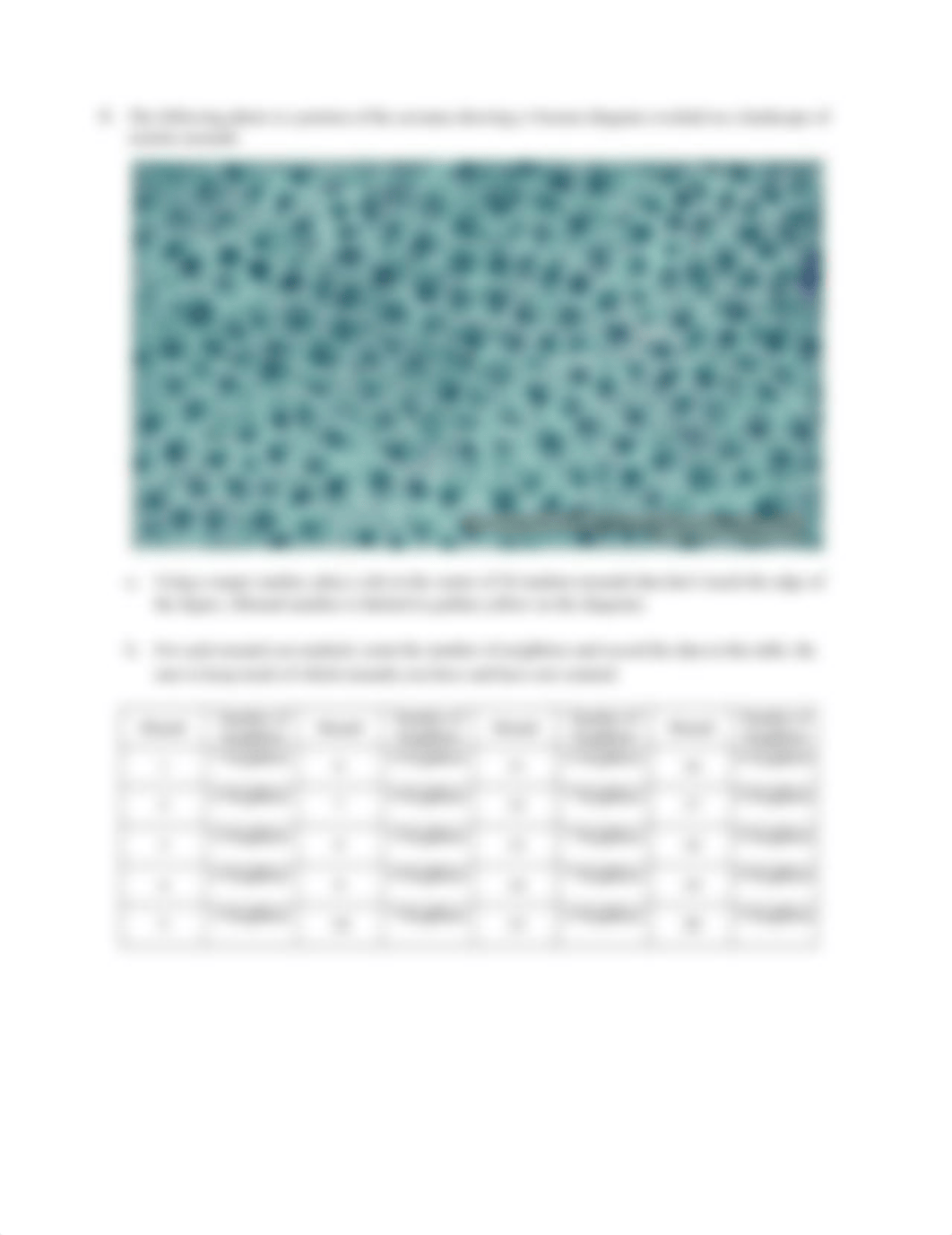 AnalyzingPatterns-178.docx_d5f96nnqist_page2