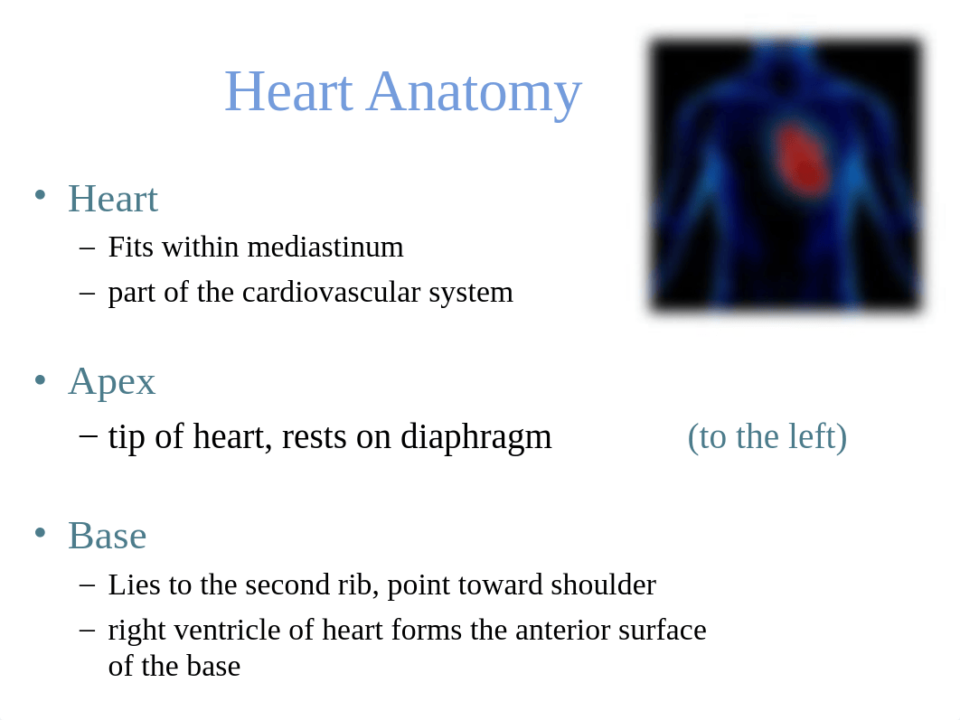 Cardiovascular System_d5f9mn90e46_page3