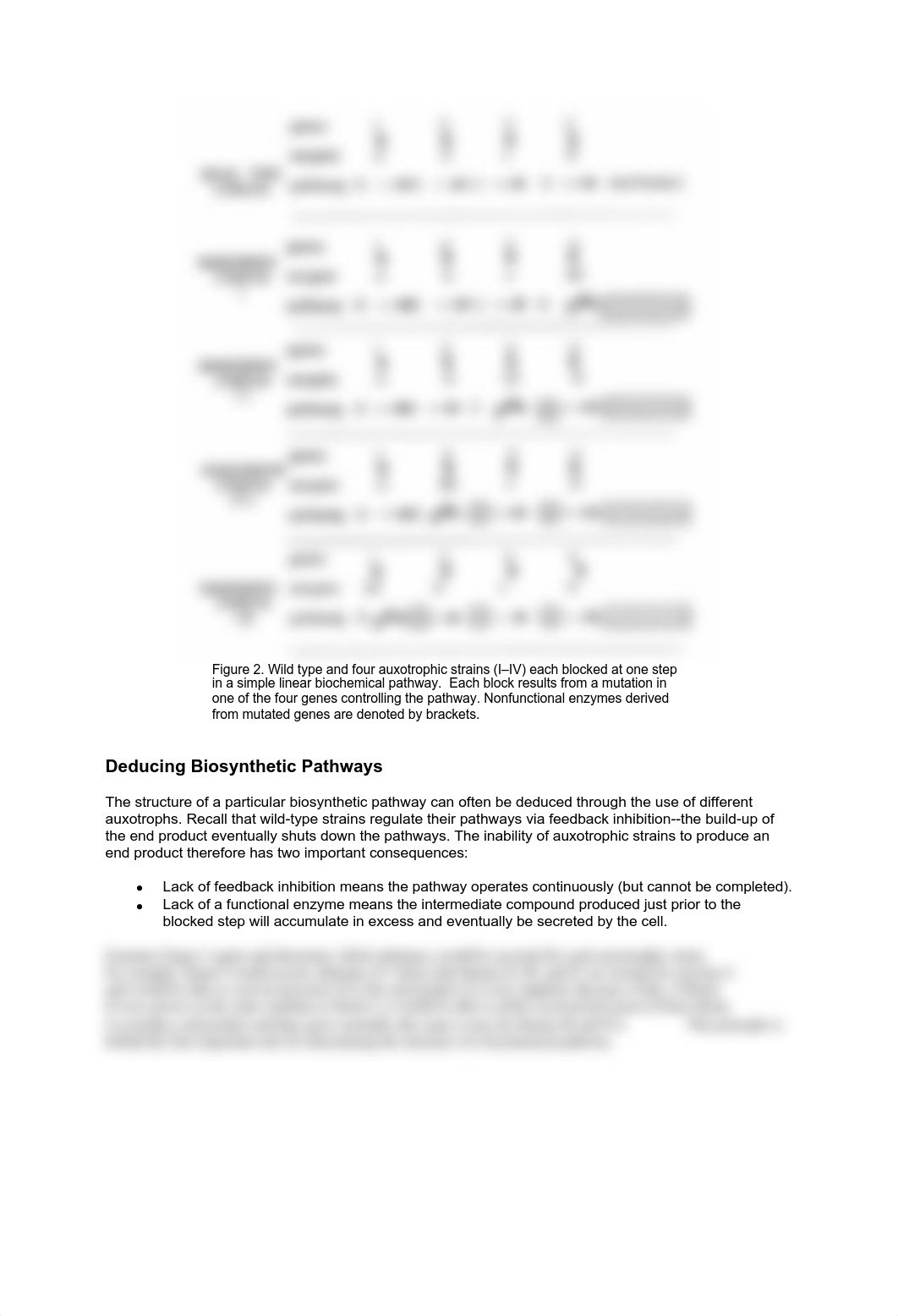 163Prodigiosin20.pdf_d5f9nurtmhj_page2