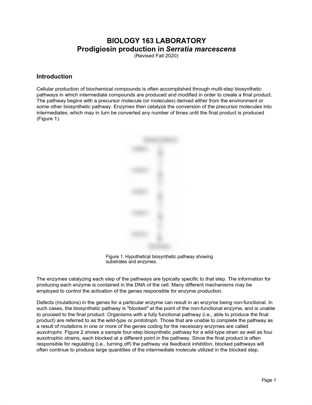 163Prodigiosin20.pdf_d5f9nurtmhj_page1