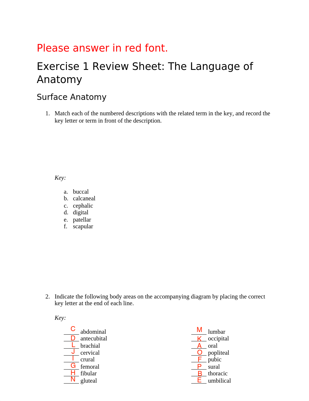 Lab Exercise #1.pdf_d5fezh06417_page1