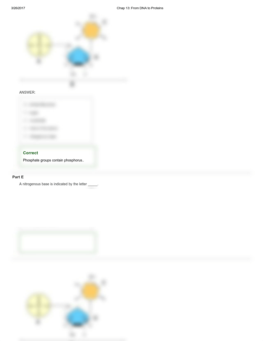 Chap 13_ From DNA to Proteins_d5fg2cwahjz_page3