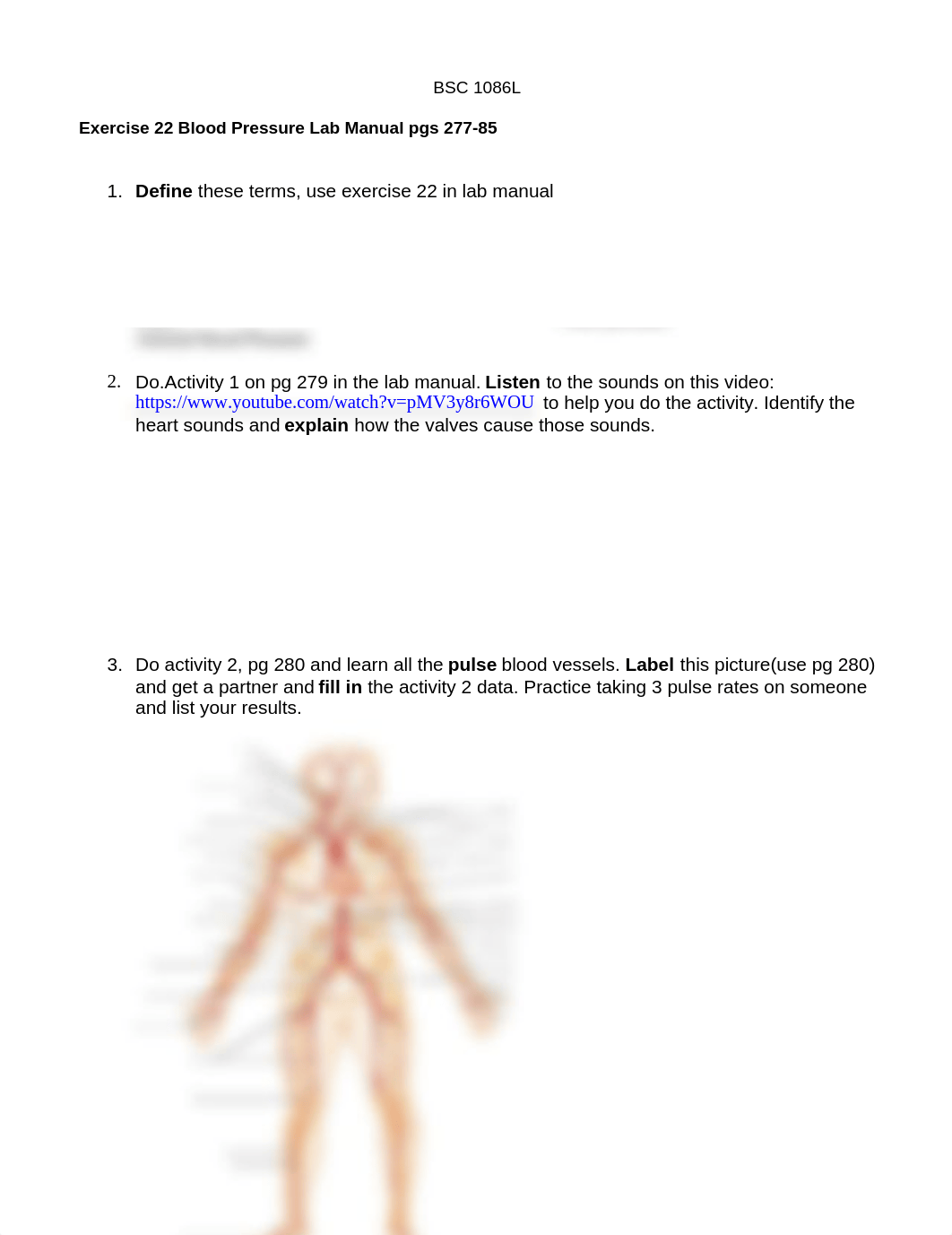 ap2 ex 22 Blood Pressure online d 2.docx_d5fs8ju6ime_page1