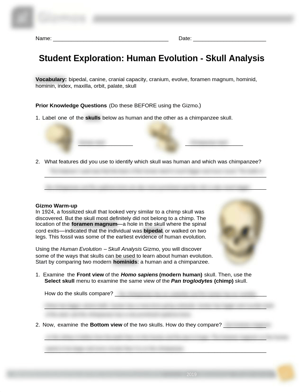 Evolution 11-Human Evolution Gizmo worksheet.pdf_d5fseyxeh1x_page1