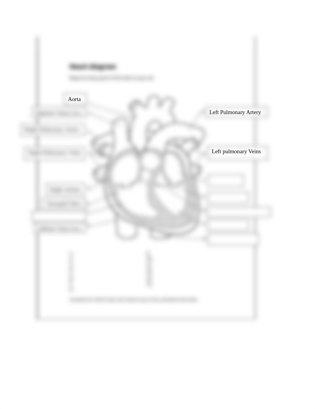 heart diagram, SmithD FSE 118-0901.docx_d5fthwmazqo_page1