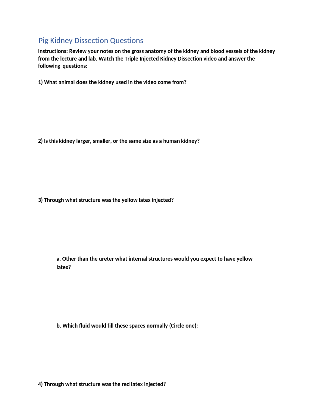 ANAT 1 Pig Kidney Dissection Questions.docx_d5g0h26hr3k_page1