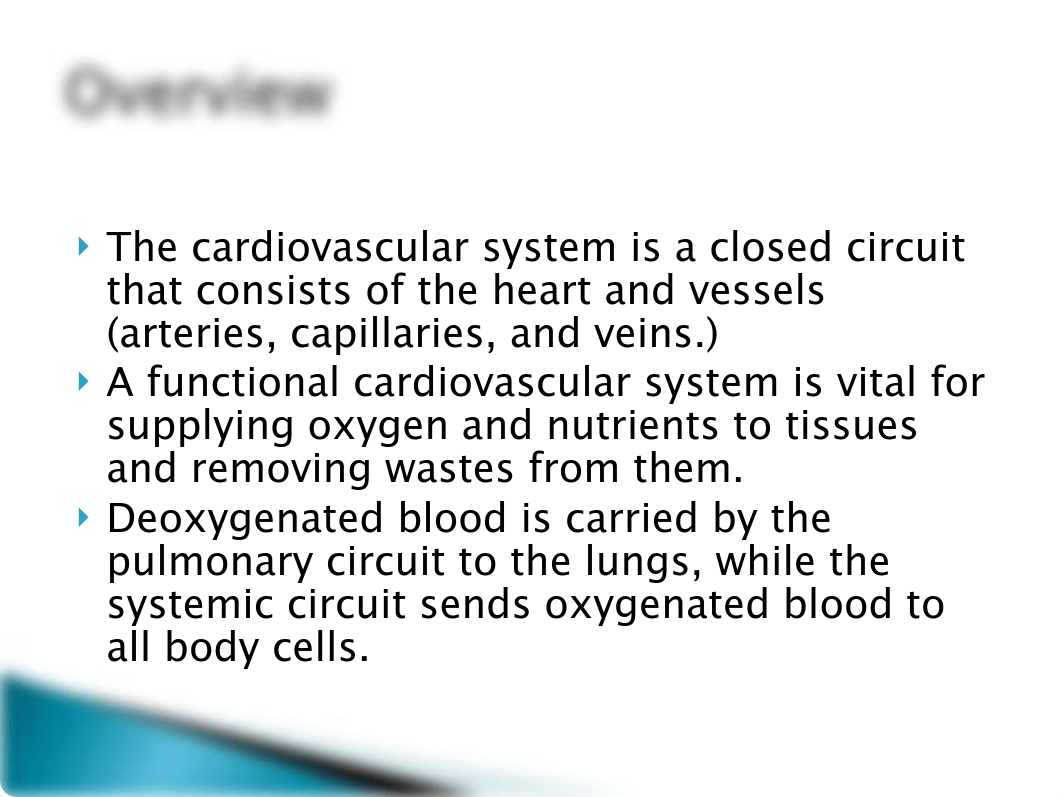 BIO 135 Ch 13 Cardiovascular System_d5gb1b26kco_page2