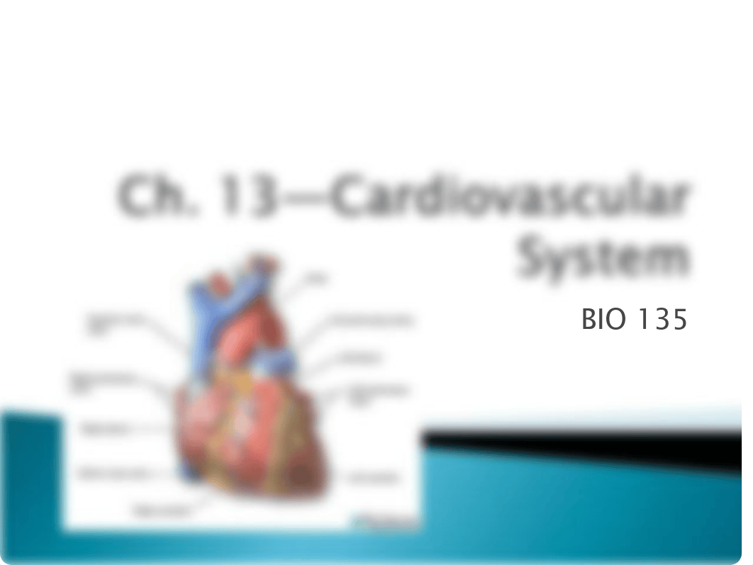 BIO 135 Ch 13 Cardiovascular System_d5gb1b26kco_page1