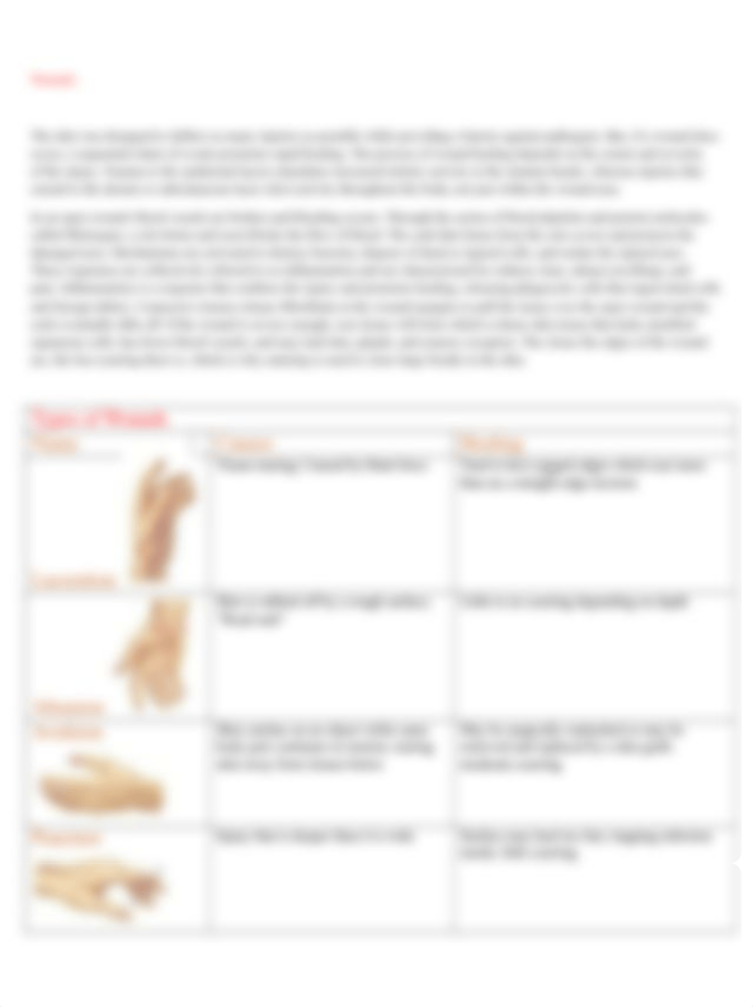 Wound and burn case study.docx_d5gcgw362j5_page2