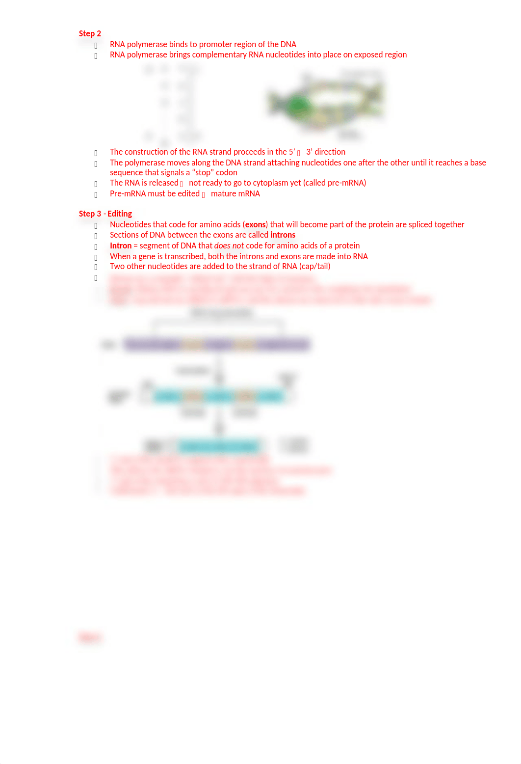 Module 7 Review - Key.docx_d5gemjd10yu_page2