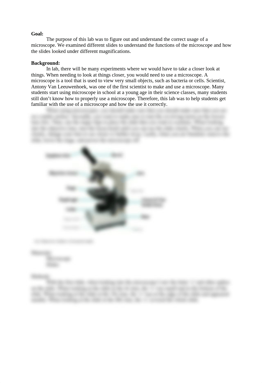 microscopy lab report-gen bio lab (F2019).docx_d5gseb7mjer_page2