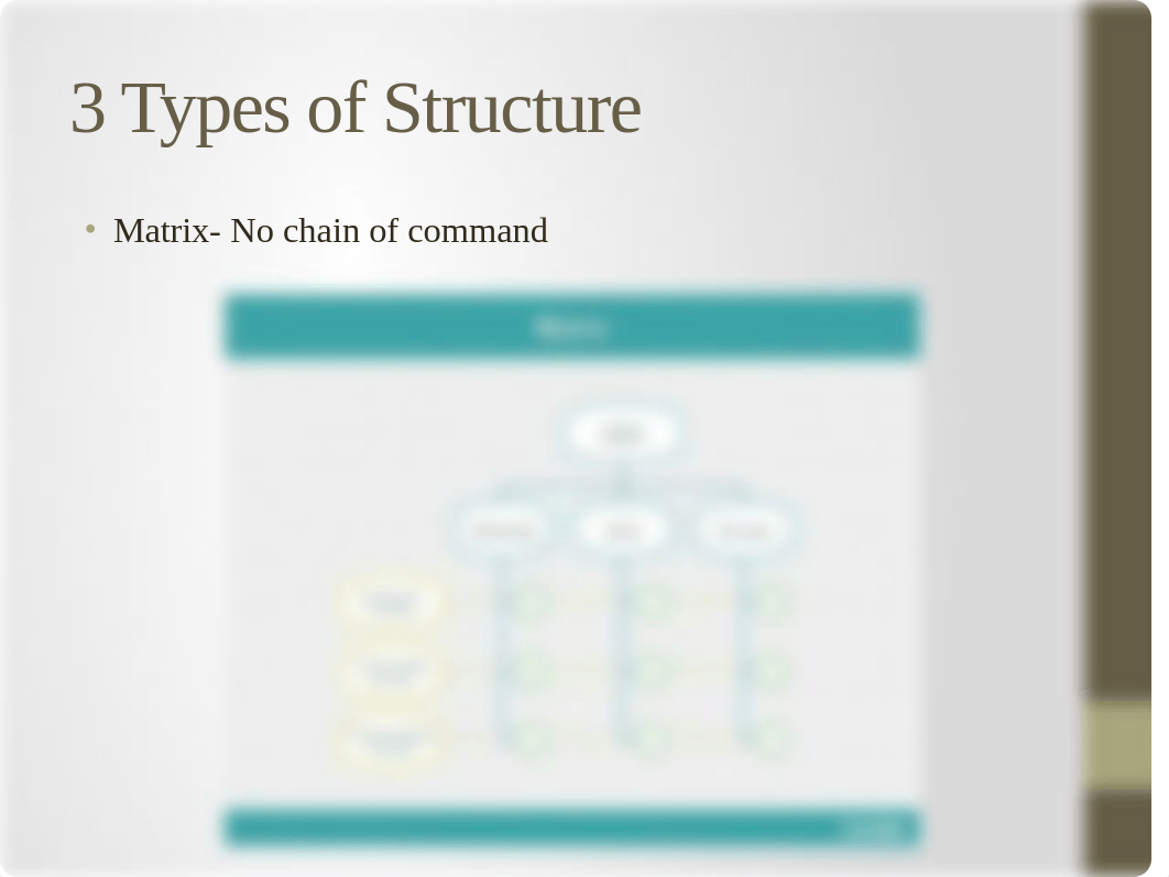 AMT491- Organizational Structure_d5gu8ayluai_page3