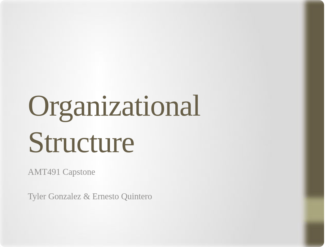 AMT491- Organizational Structure_d5gu8ayluai_page1