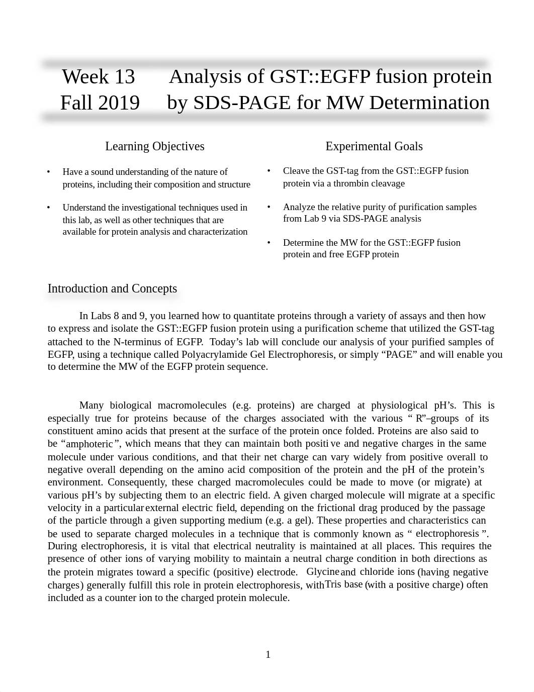 GEN3040.13 - EGFP SDS-PAGE Analysis_Fa19_FINAL.pdf_d5gwln83uqg_page1