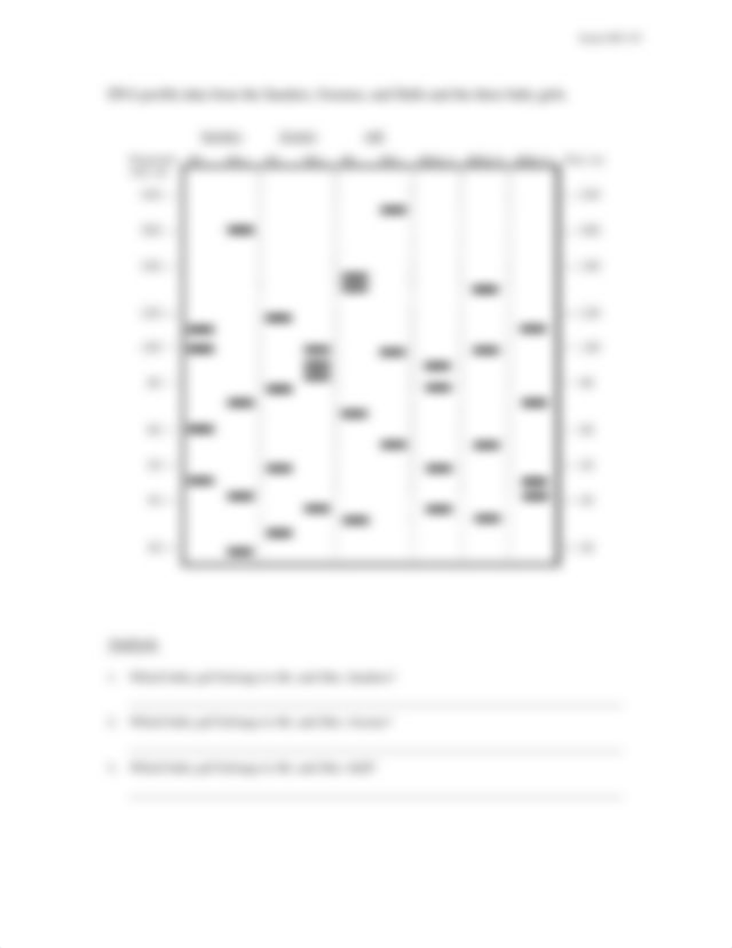 14.DNA profile 1.S.pdf_d5h40a2vdkw_page2