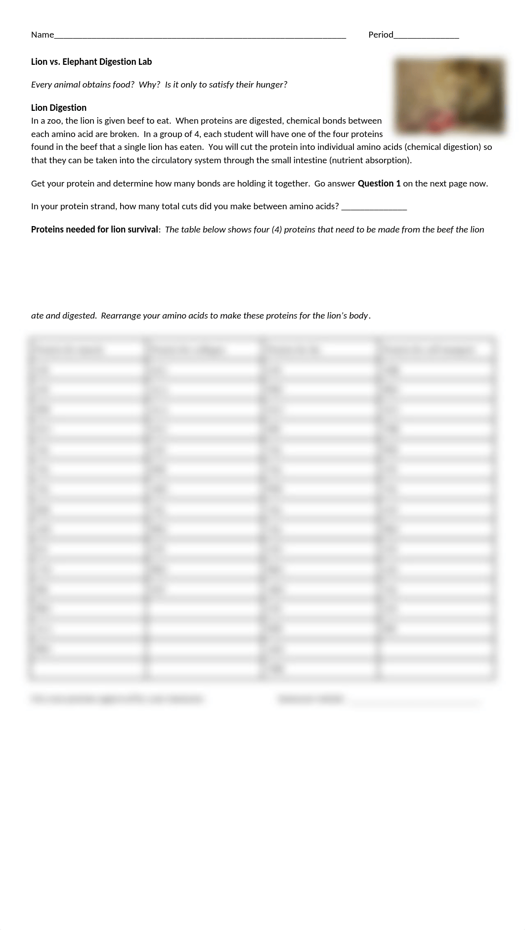 Lion and Elephant Digestion Lab Rev 2019.docx_d5he71dqtsk_page1