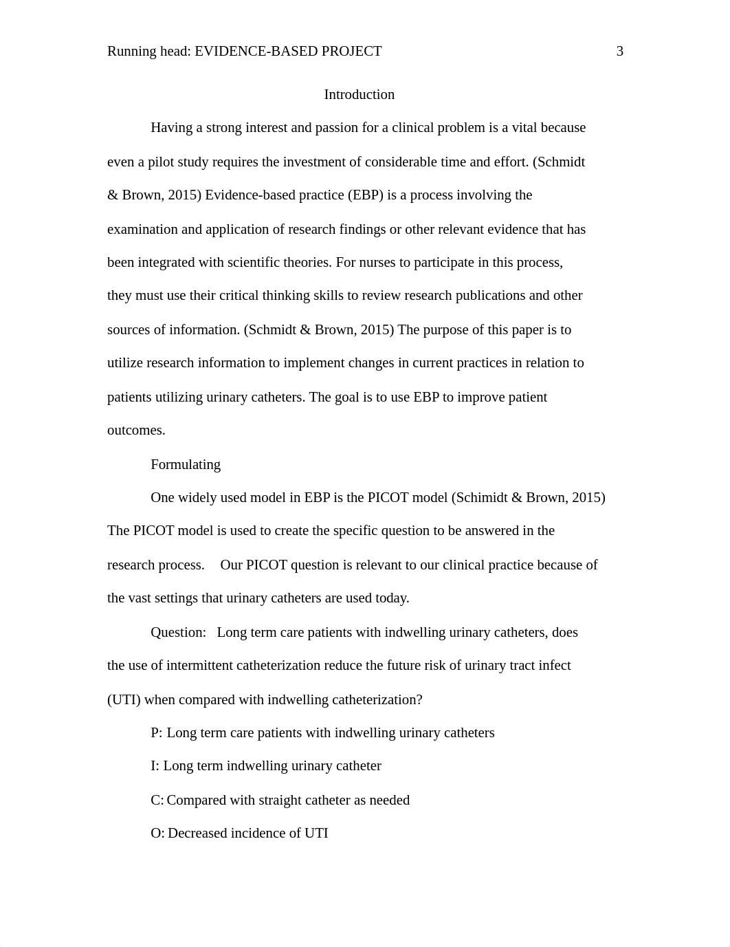 Evidence Based Project Example.docx_d5hf9du2xf1_page3