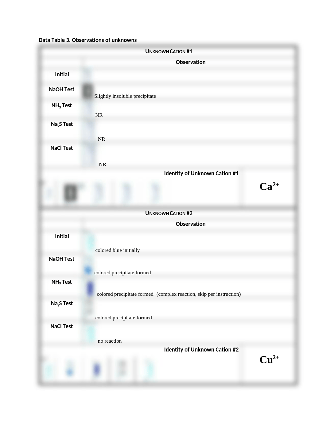 Lab 05 Qualitative Analysis of Cations by Precipitation.docx_d5hjnc2xos5_page3