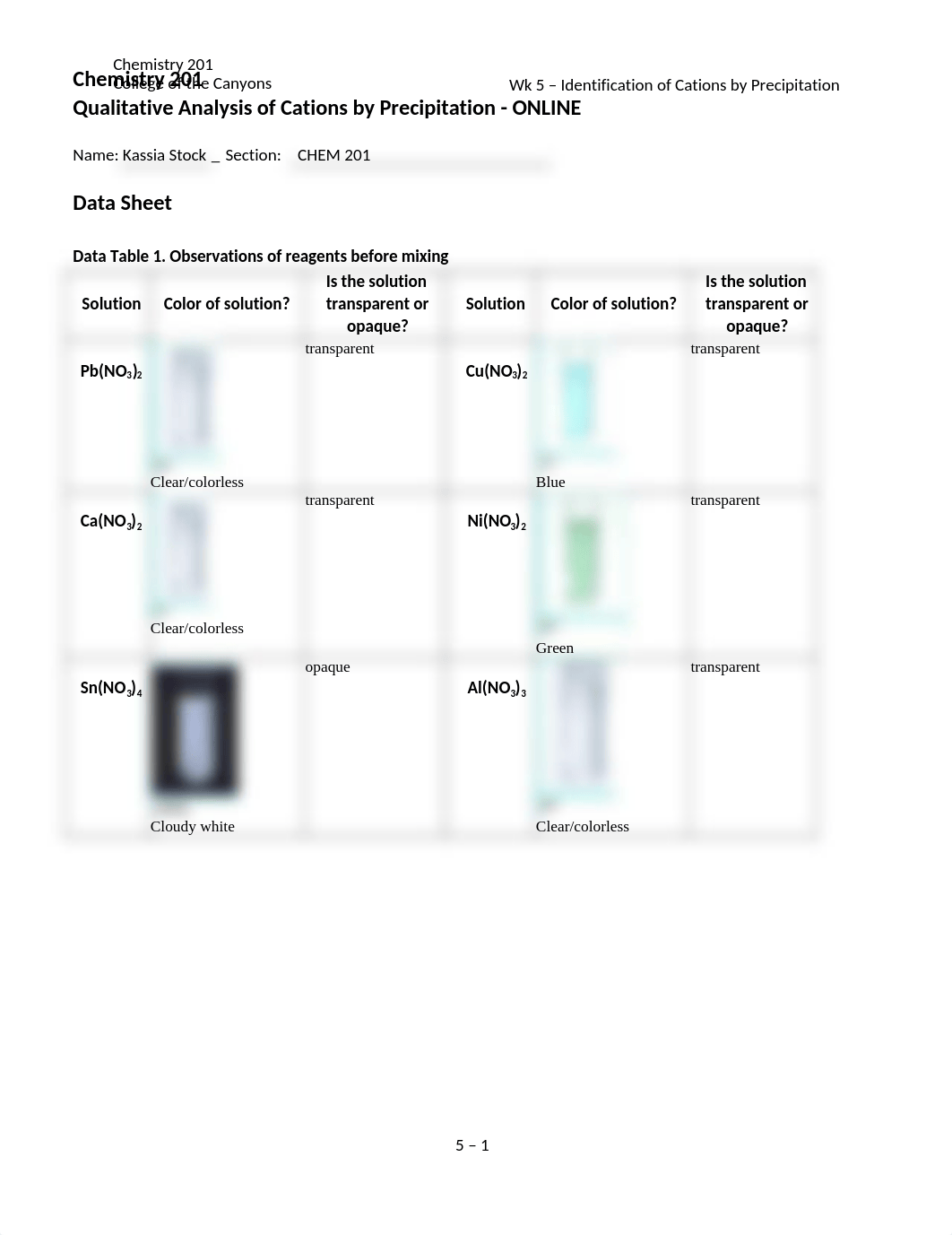 Lab 05 Qualitative Analysis of Cations by Precipitation.docx_d5hjnc2xos5_page1