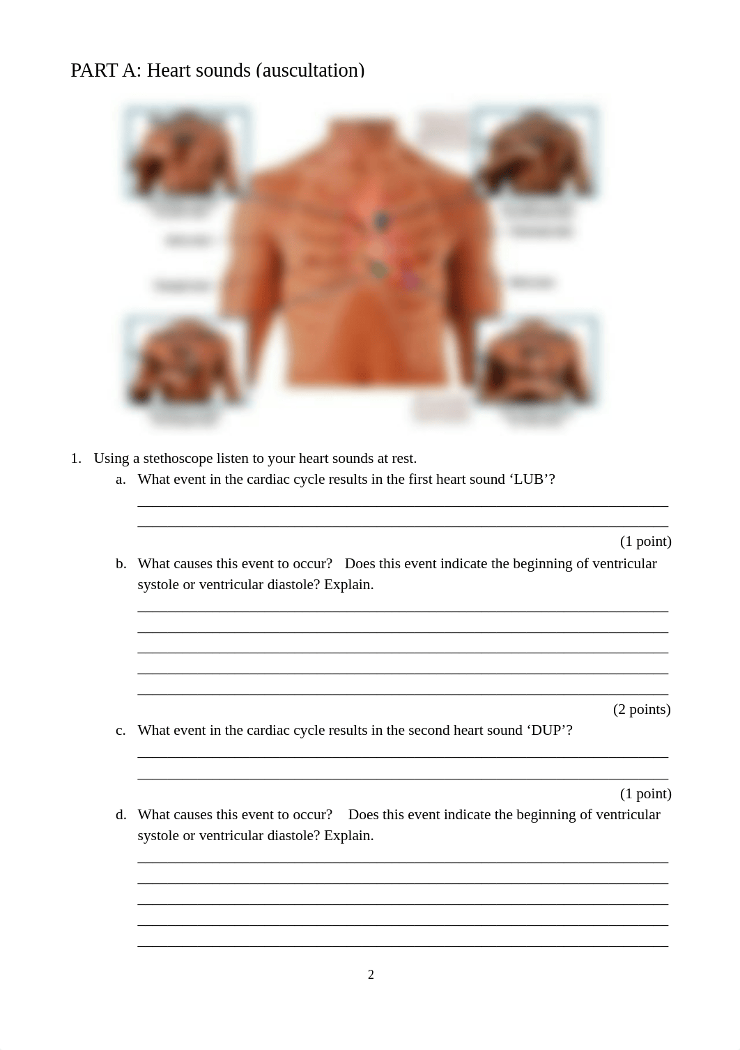 BIO1OOS Practical Cardiovascular.docx_d5hnjmpli98_page2