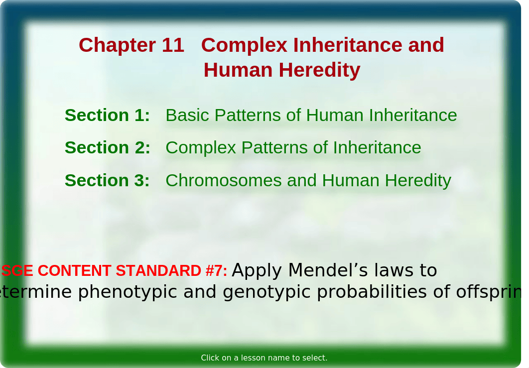 biology ch. 11teach (1).ppt_d5hw15c3zzr_page2