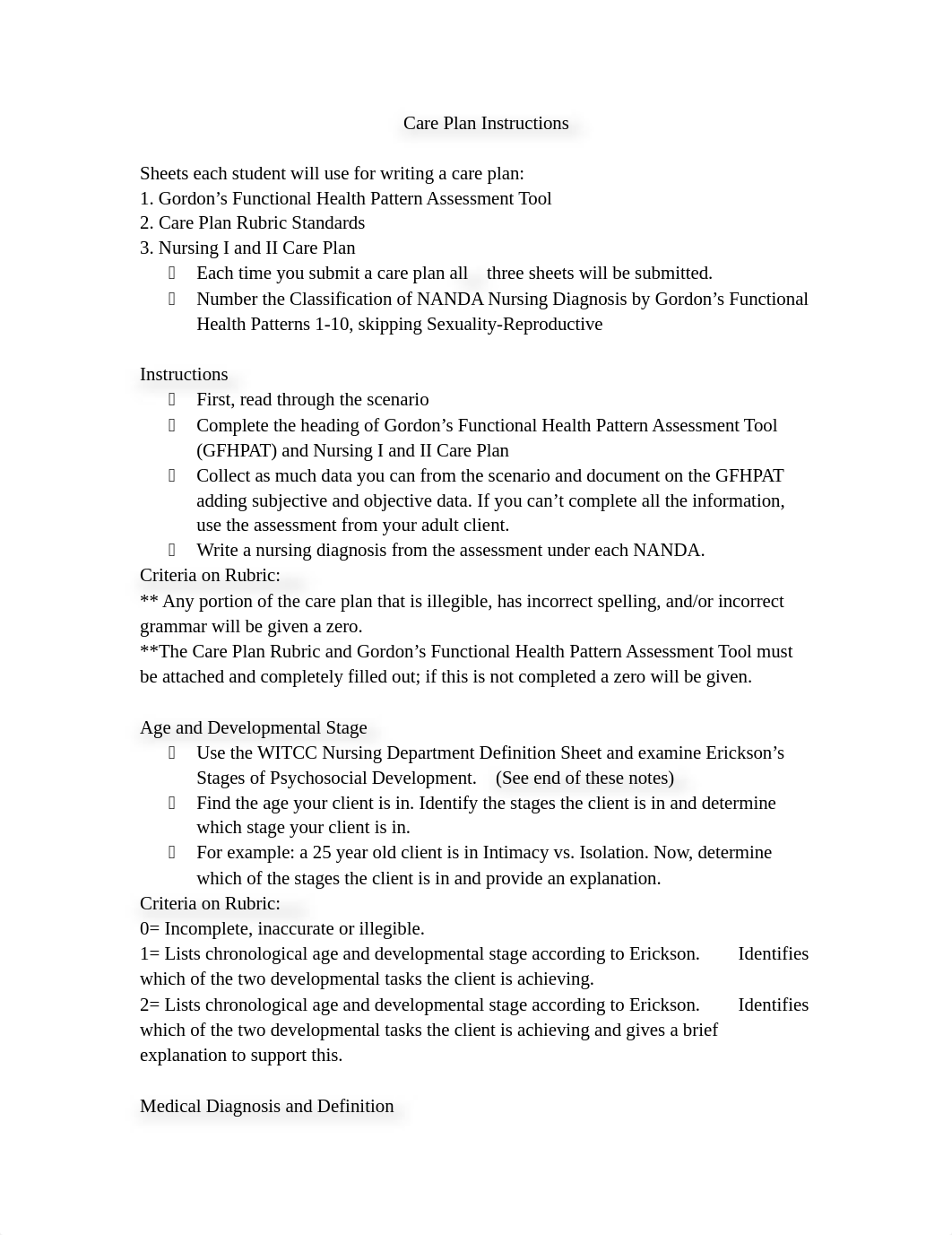 Care Plan Instructions Student Notes FA16.docx_d5i1ceojo5k_page1