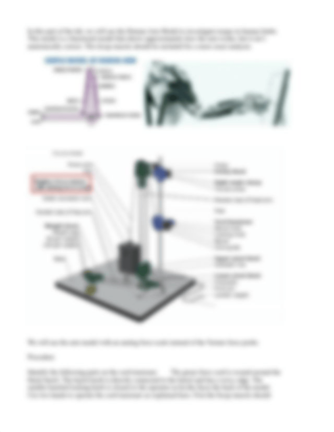 lab10 Torque and the Human Arm Lab_d5i4k9v56w7_page3