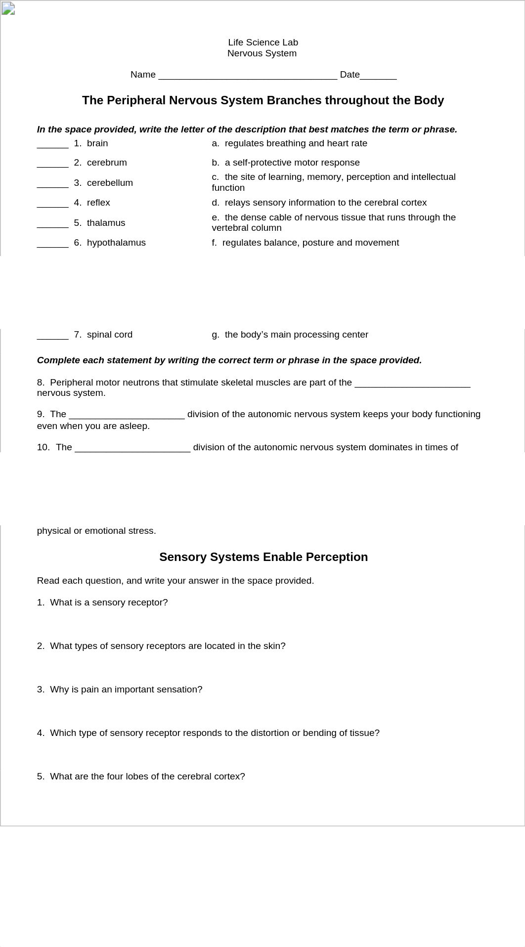 Nervous System.doc_d5i4mi158zs_page1