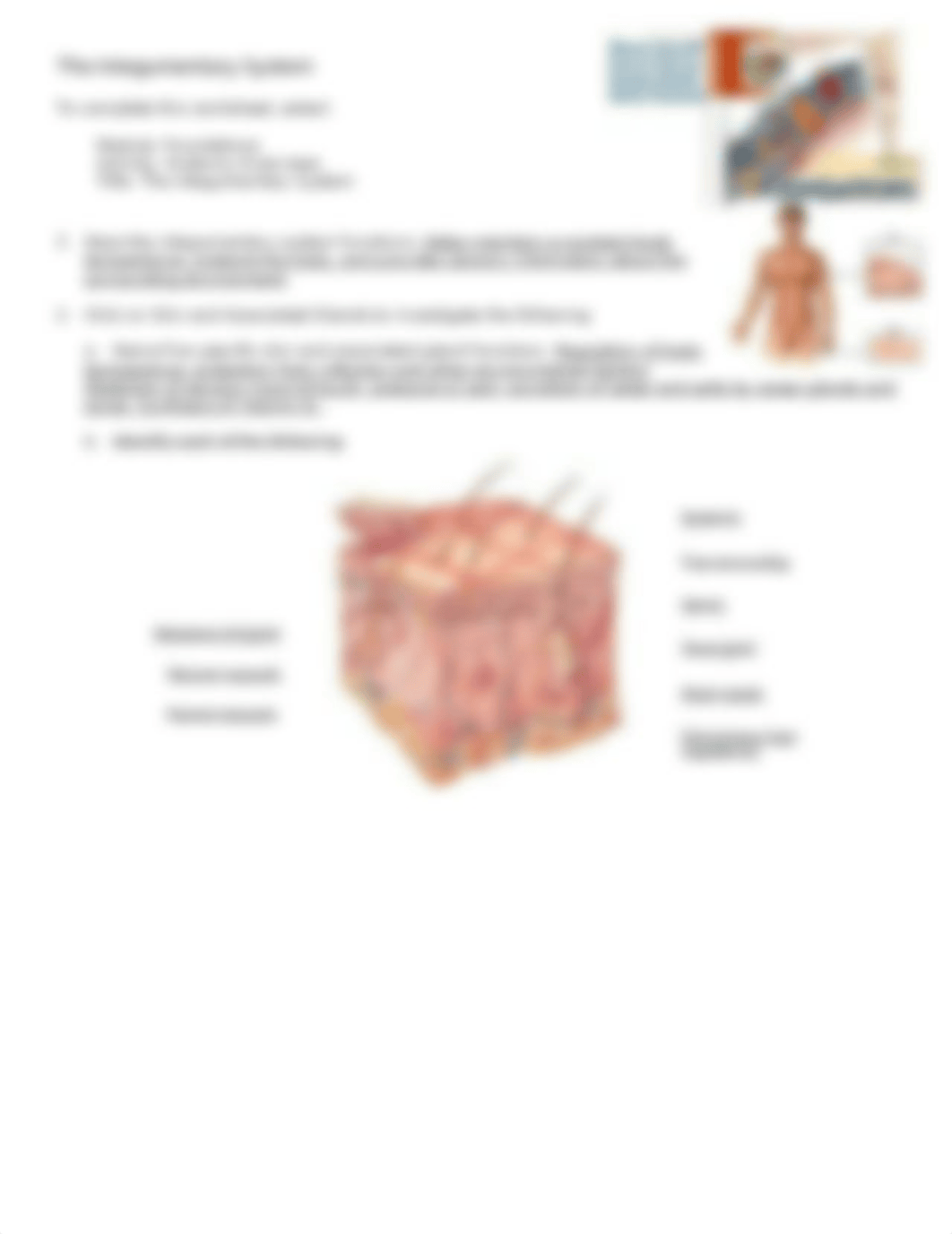 Integument and disease resistance.doc_d5iaid4sctz_page1