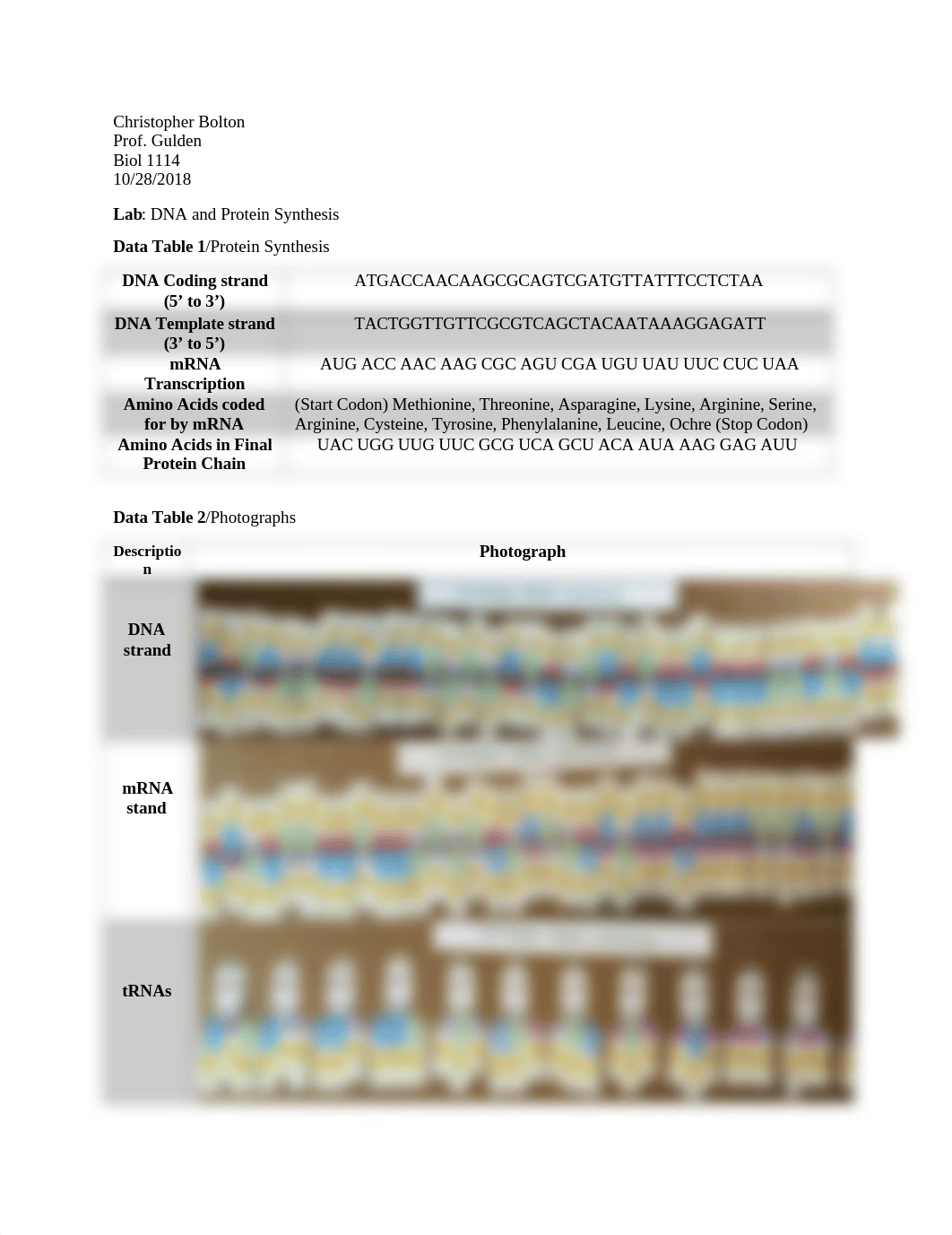 DNA Coding strand.docx_d5iesdleszu_page1