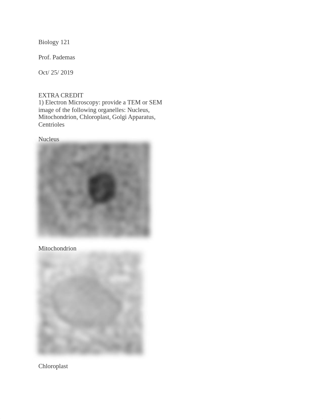 Extra Credit - TEM or SEM.docx_d5ii2xjzfrf_page1