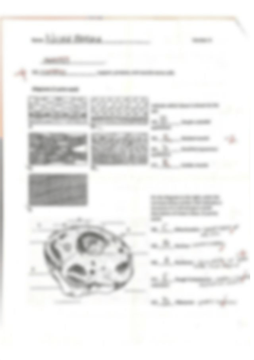 exam 1_d5iklmtz75p_page4