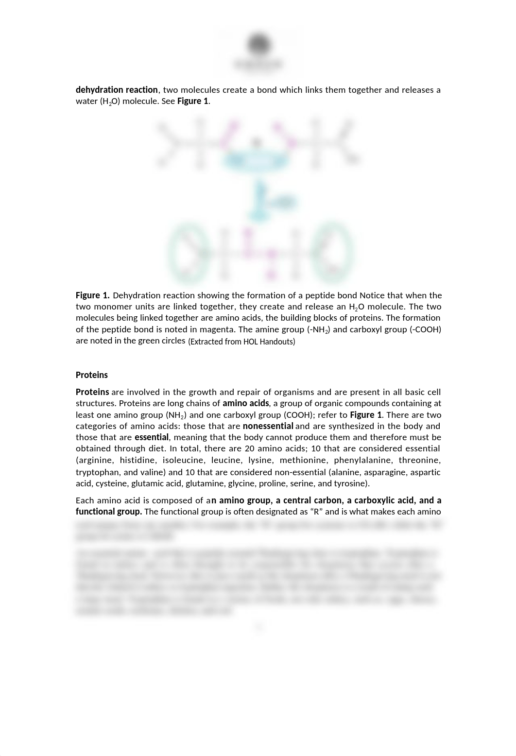 Biological Molecules- 2018 (1).doc_d5inpw0fkvl_page2